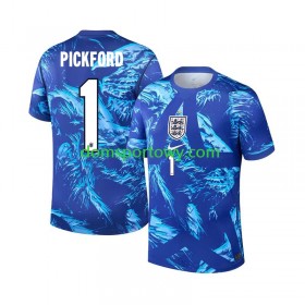 Koszulka Anglia Pickford 1 Bramkarska Jordan Trzeci Koszulki Piłkarskie World Cup 2026 Krótki Rękaw